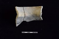 陶罐藏品圖，第2張